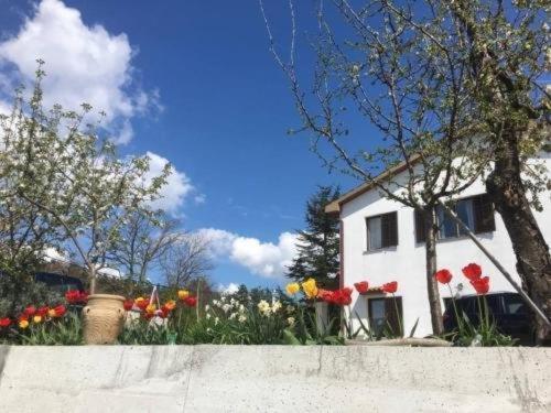 Hostel-Sezanalokev B&B Екстер'єр фото